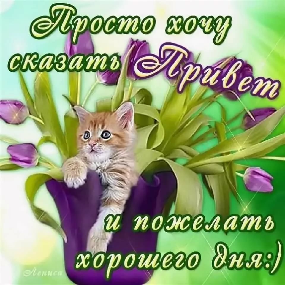 Красивый букет