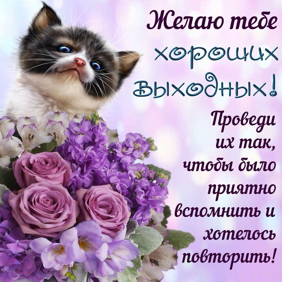 Пожелания хорошего дня и здоровья