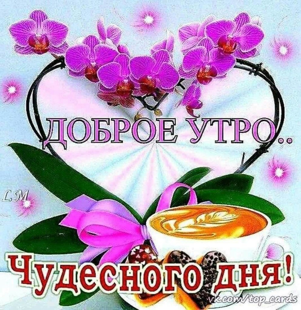 Поздравления с новым днем