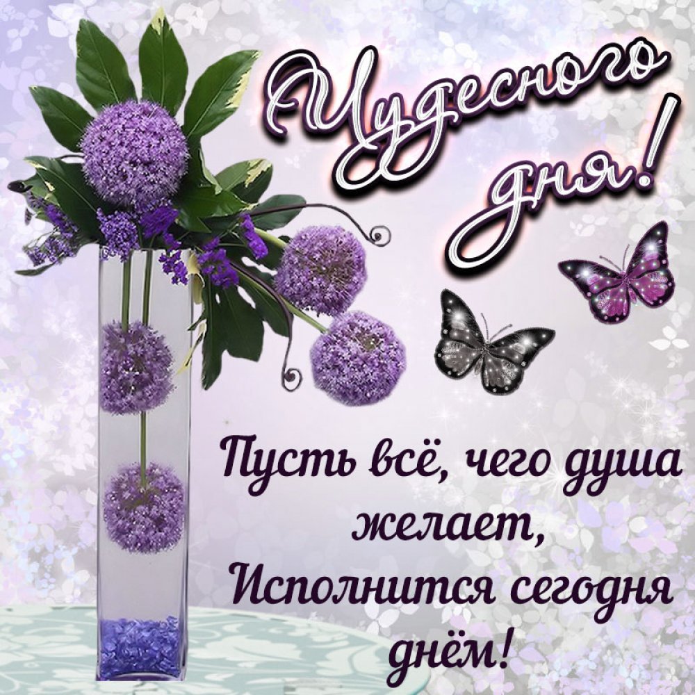 Открытки чудесного дня