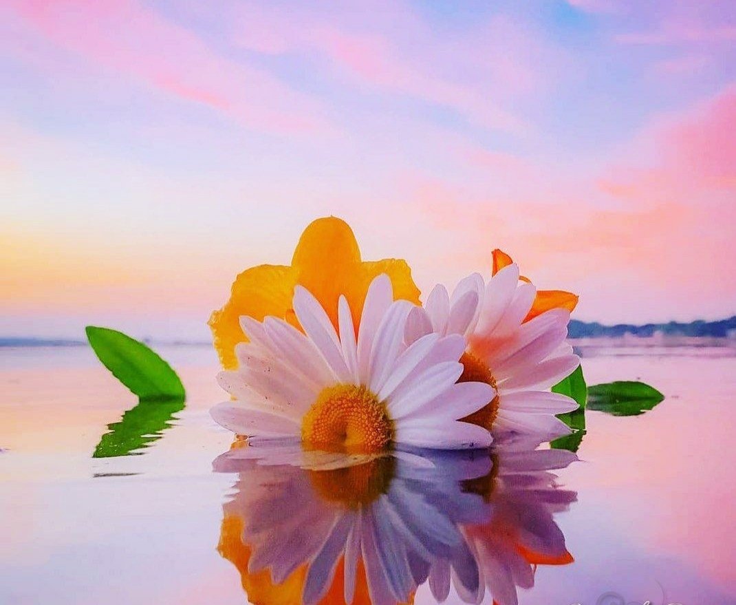 Доброе утро четверга