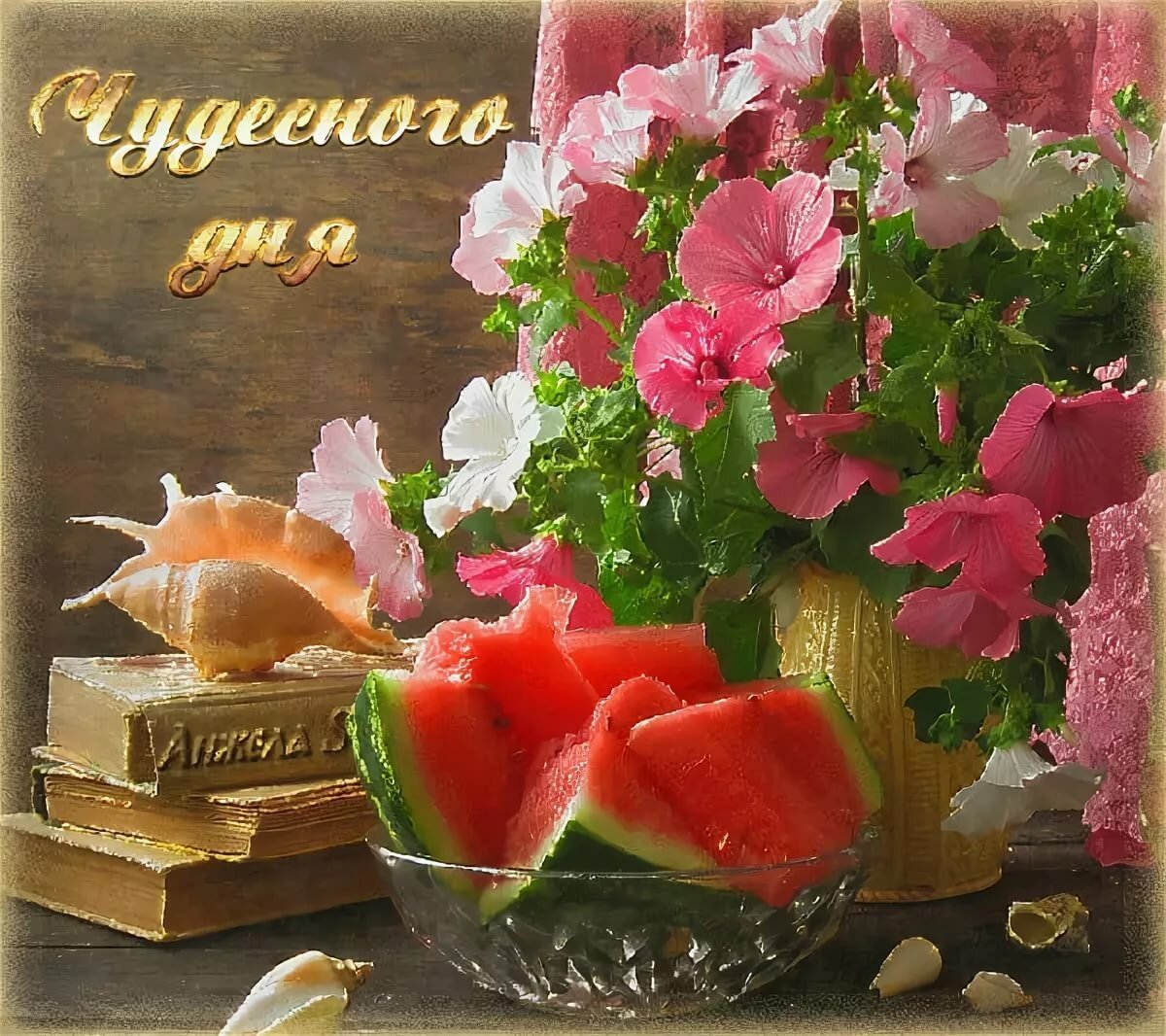 Доброе утро енот