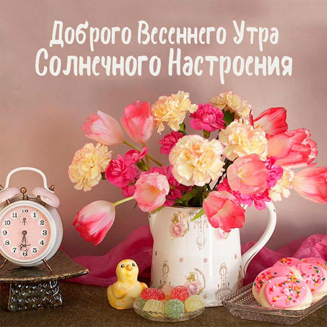 Букеты ромашек с пожеланиями