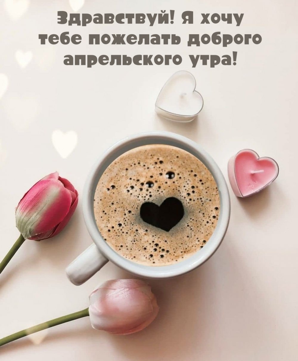 Доброе утро цитаты