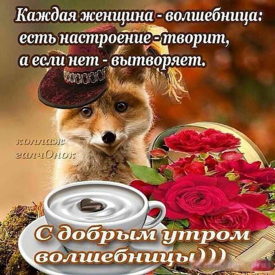 Красивые пожелания с добрым утром