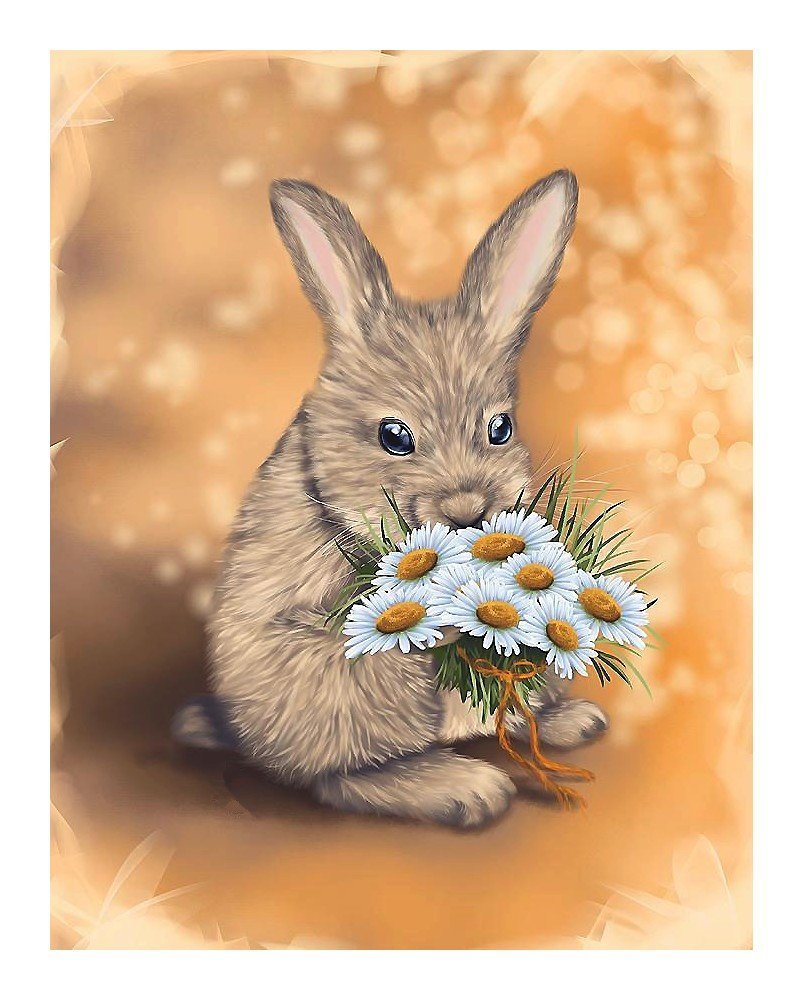 День рождения зайчика