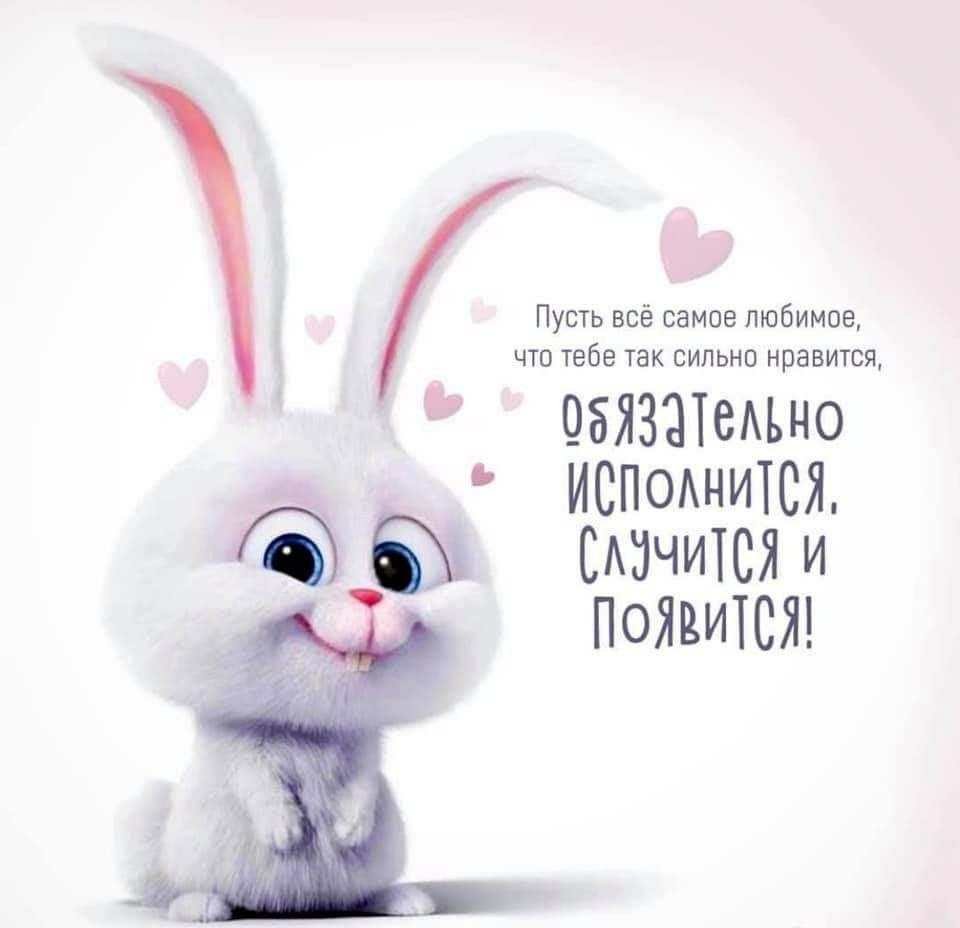 День рождения зайчика