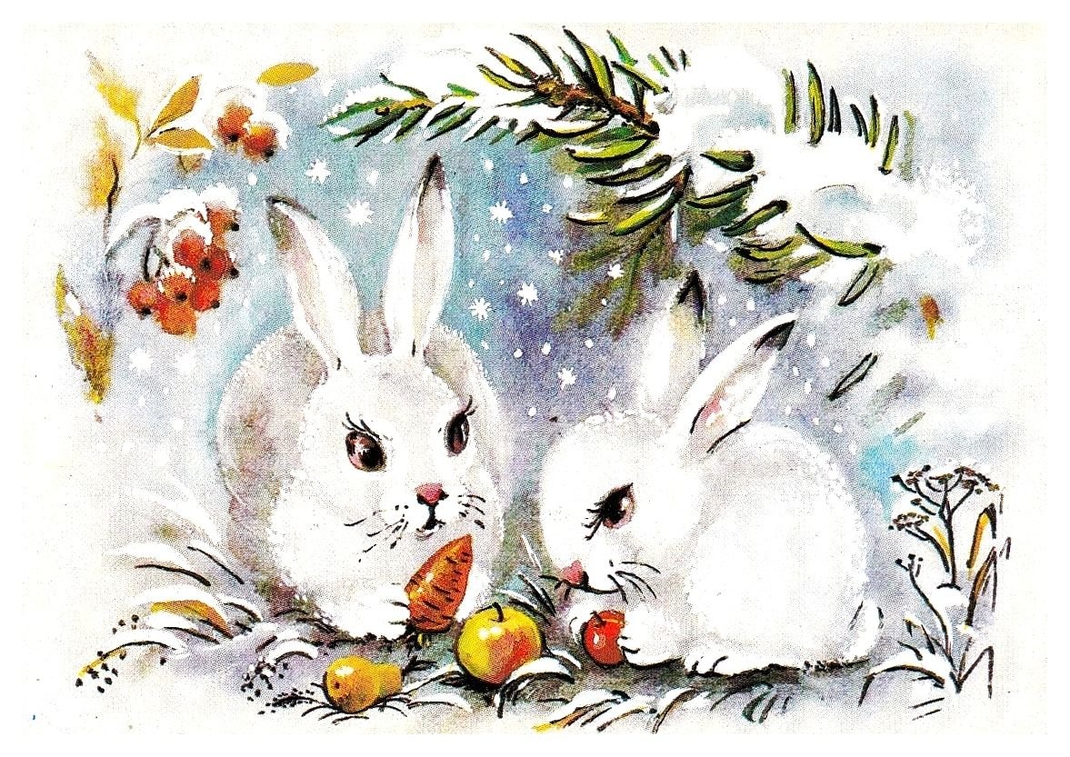 Красивый зайчик