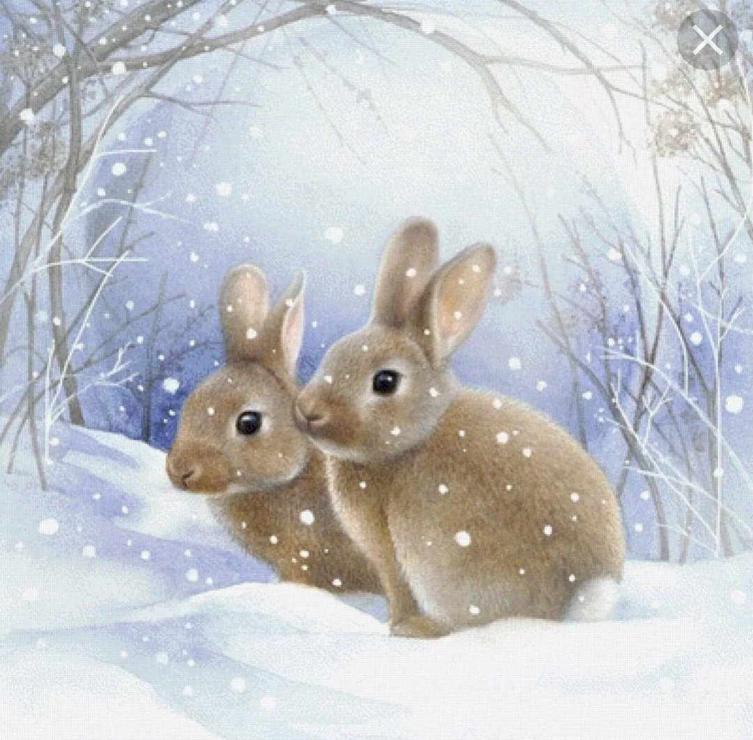 Новогодний зайчик