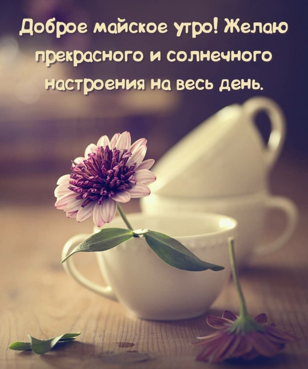 Добрый вечер стихи