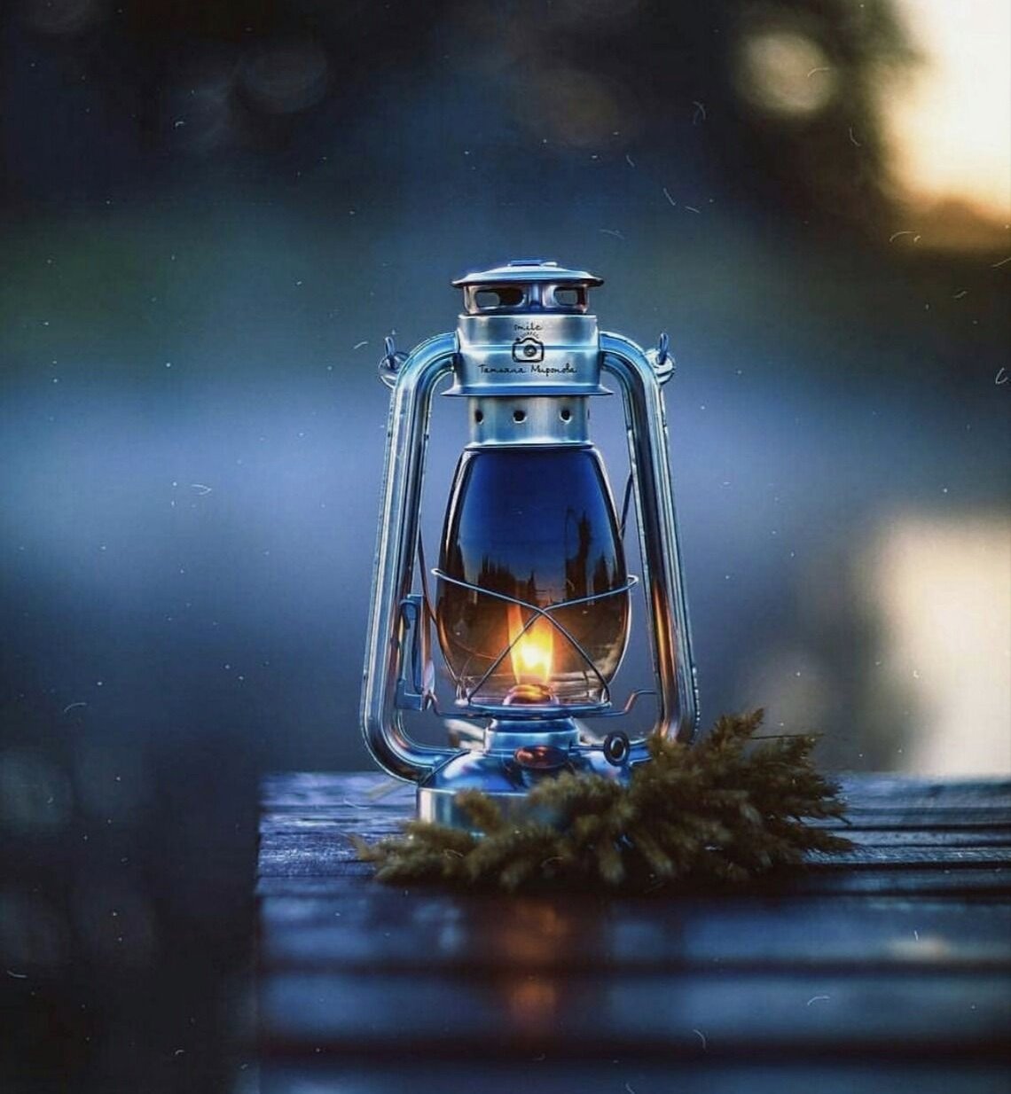 Спокойной ночи Венера