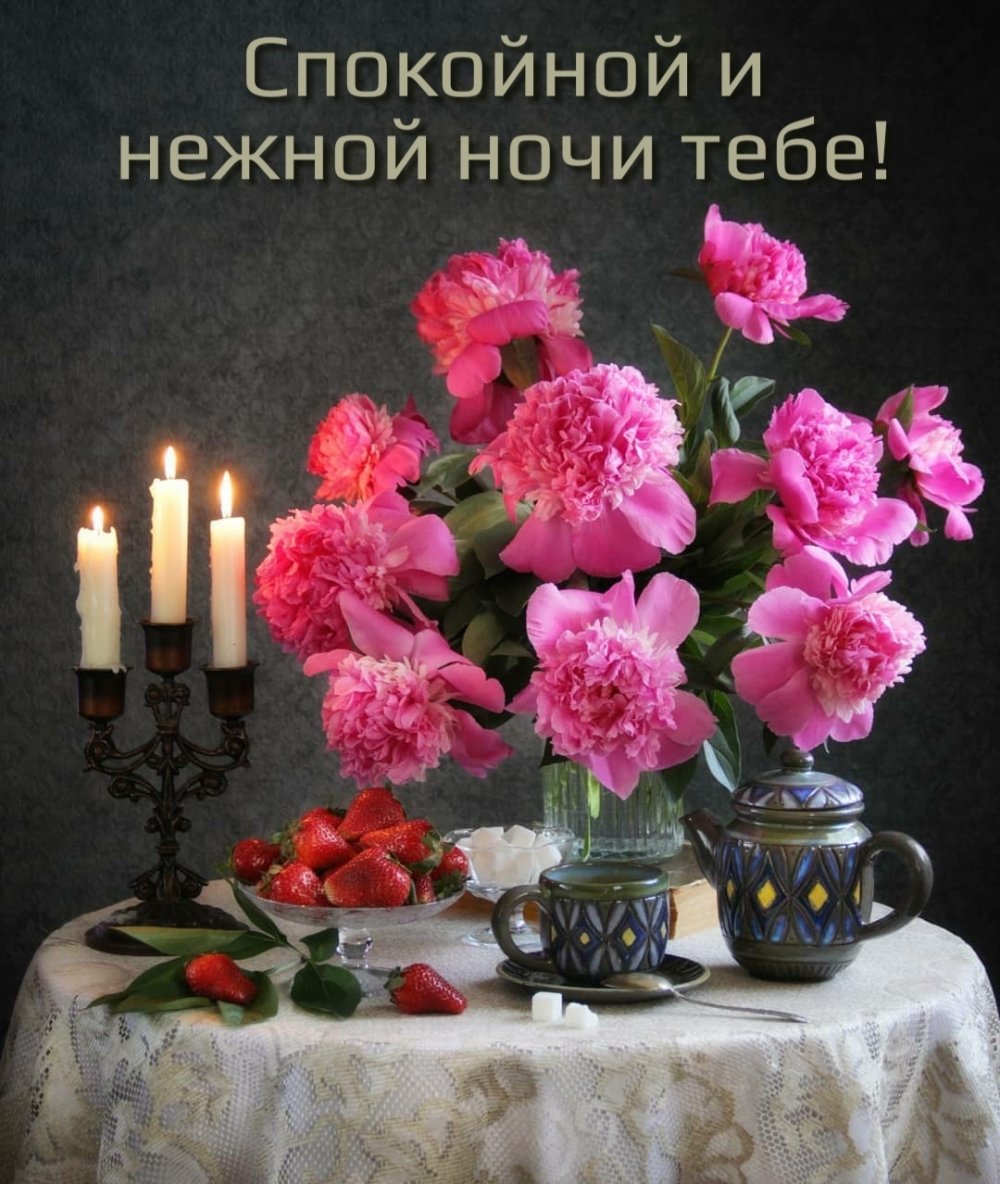 Добрый вечер необычные и спокойной ночи