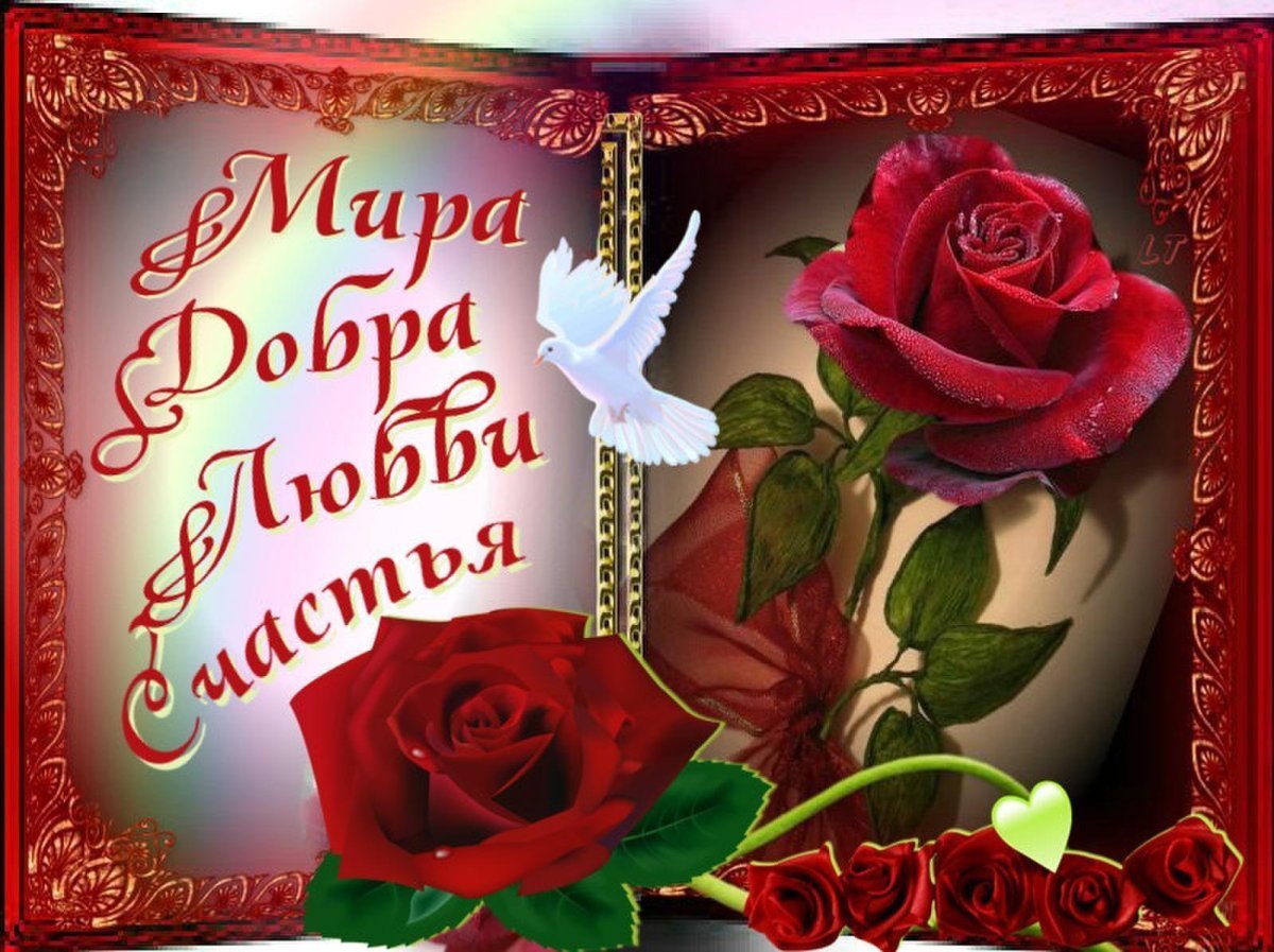 Мира , любви , добра и весны