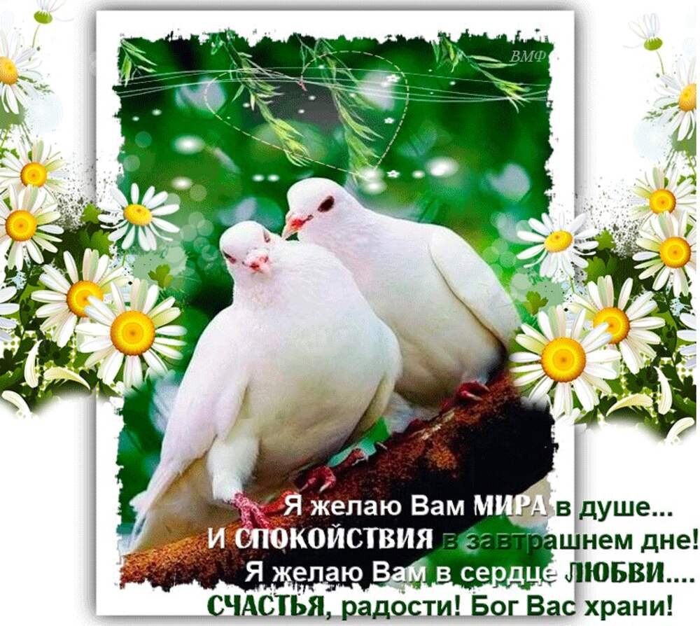 Счастья для тебя цветы в ладонях