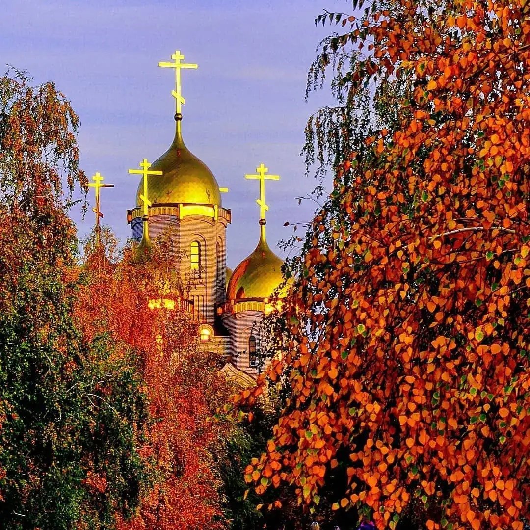 Цитаты с добрым утром