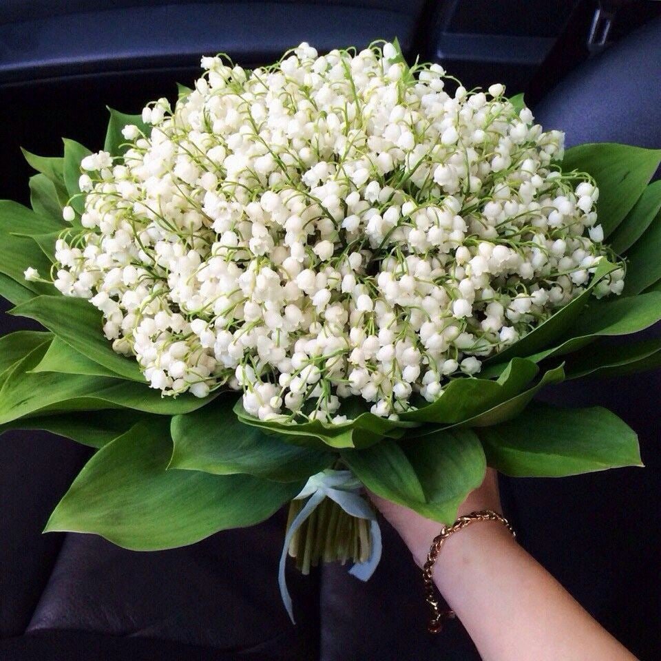 Фрея Ландыши