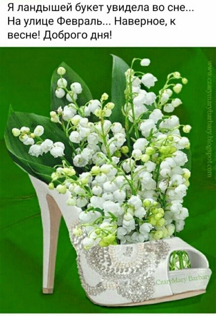 Поздравления с днём рождения Регине