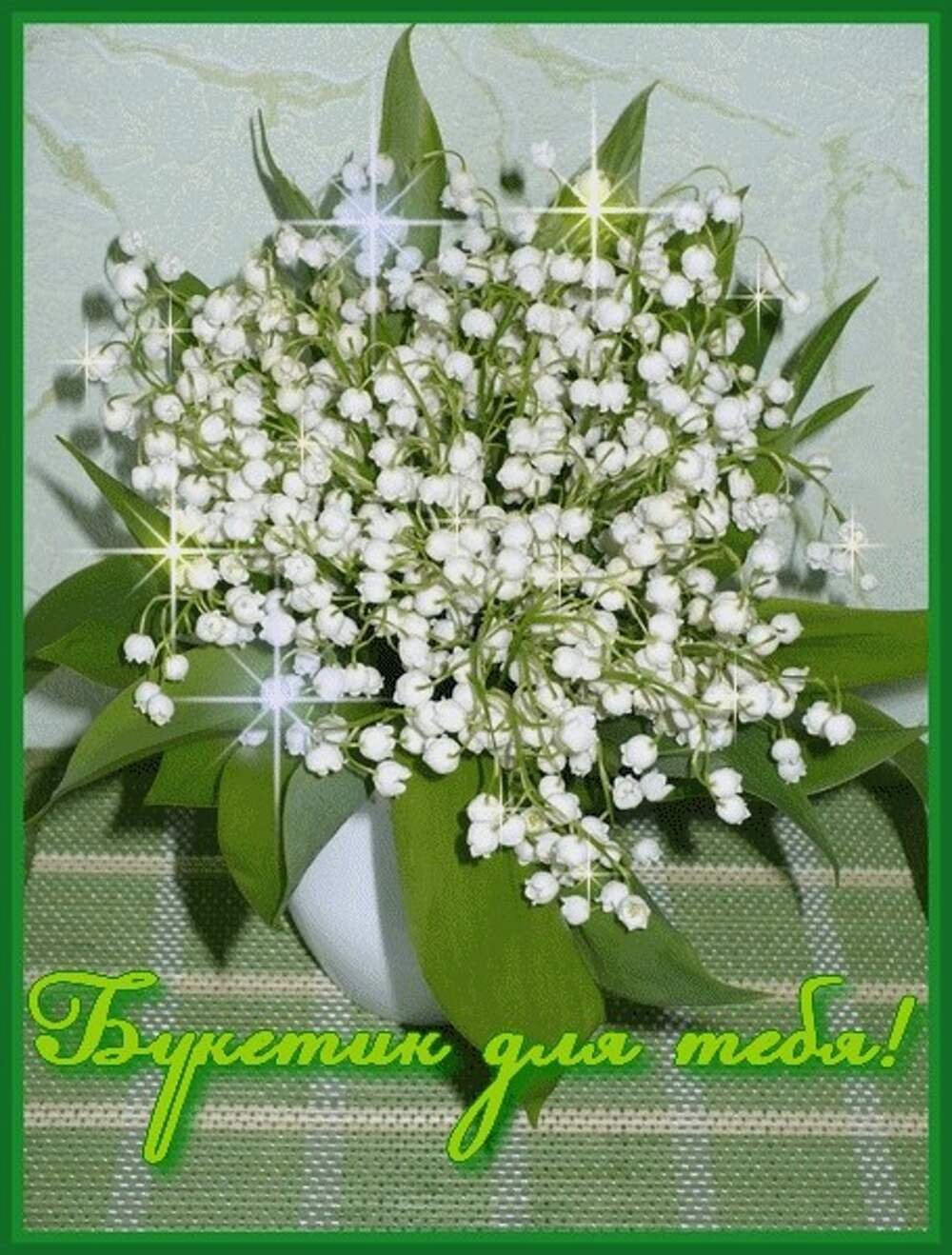 Ландыш махровый