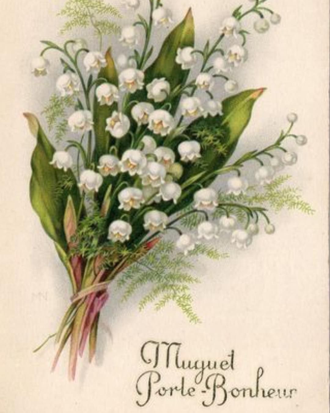 Ландыши Эстетика