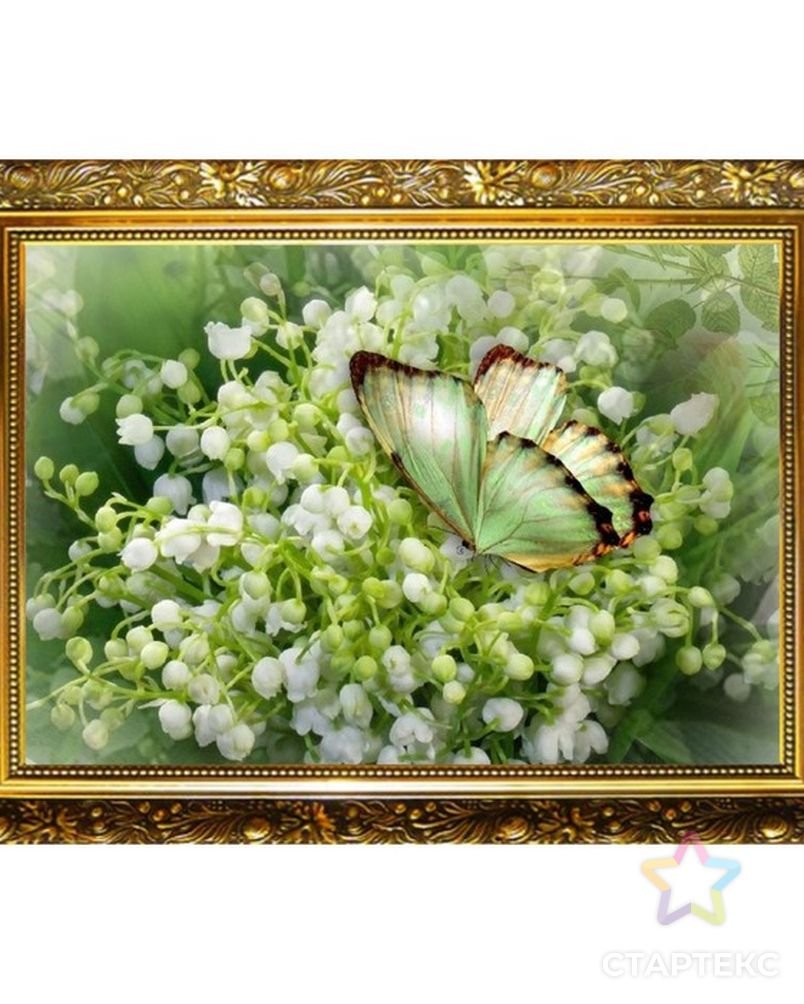 Табличка для надписи с ландышами