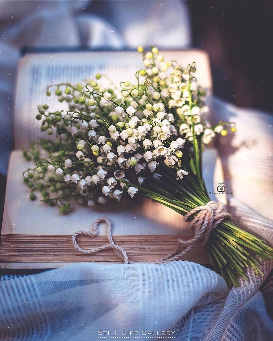 Сирень тюльпаны нарциссы