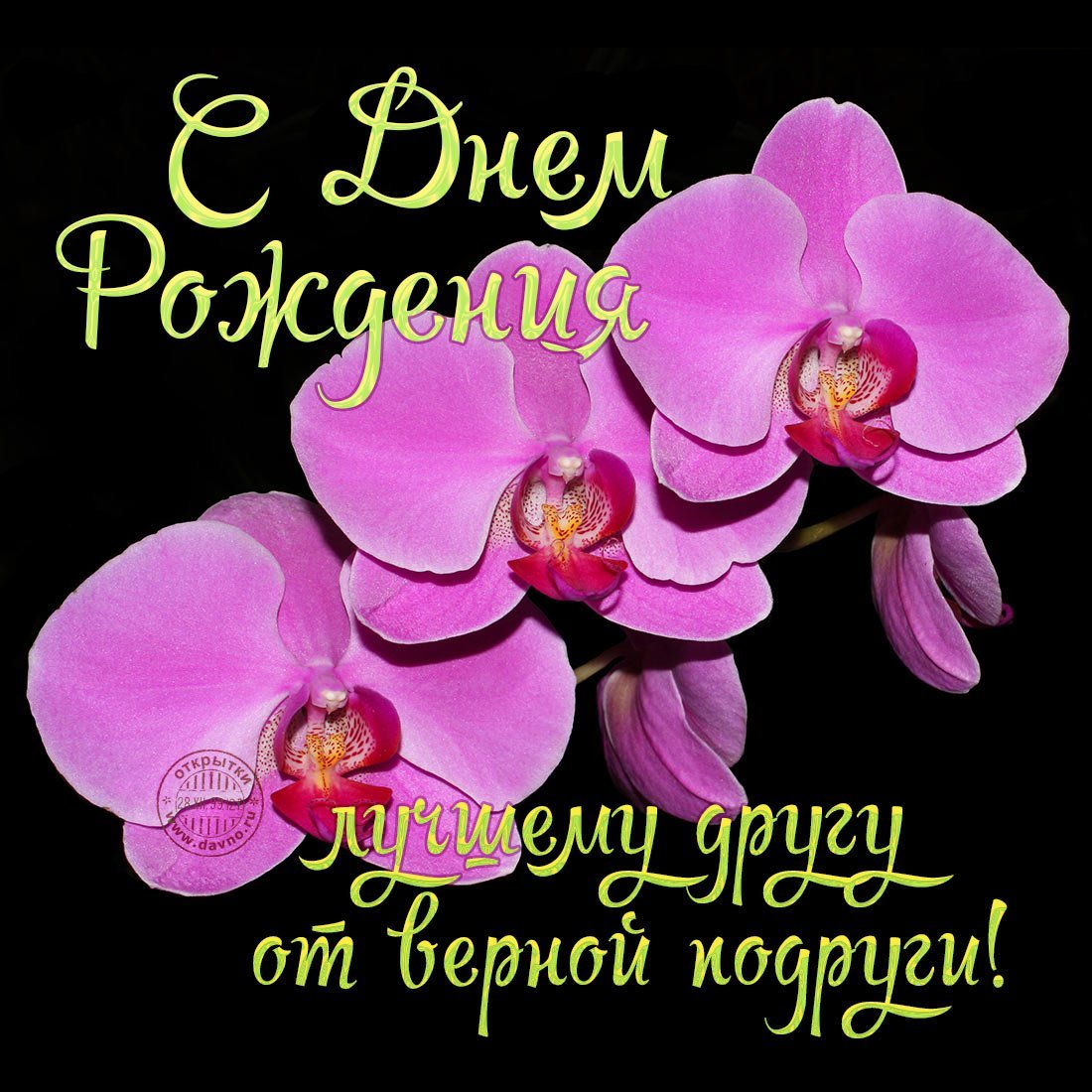 Открытка с днём рождения лучшему другу