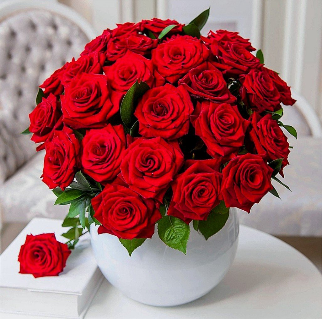 Шикарные красные розы