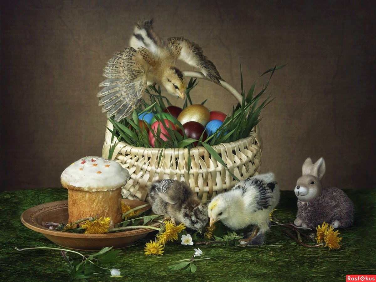 Натюрморт с цыплятами