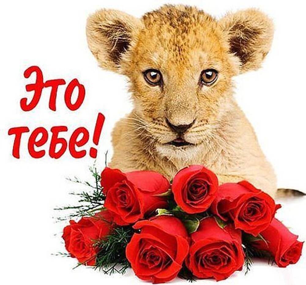 Открытка любимому сыночку