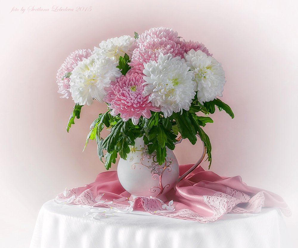 Нежные хризантемы