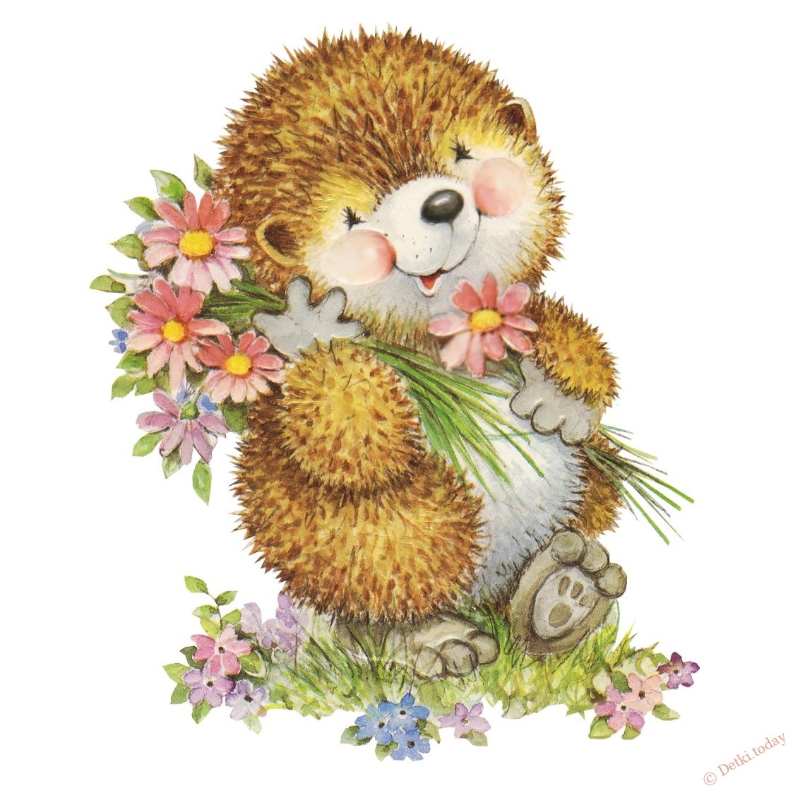 С днем рождения Ежик