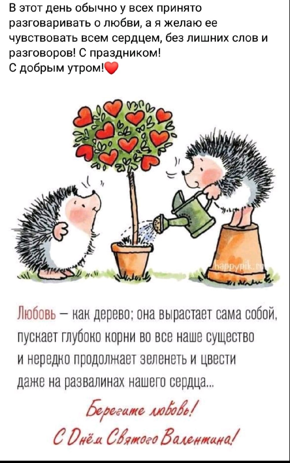 Зверюшки с цветами