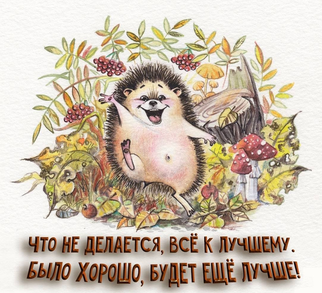 С днем рождения Ежик