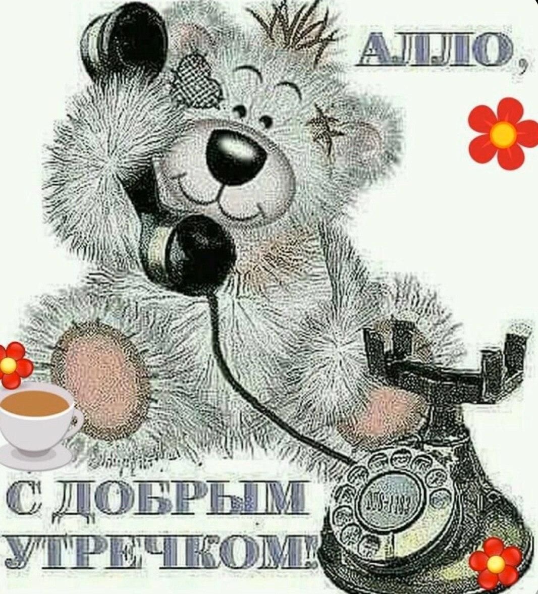 Доброе утро мишка