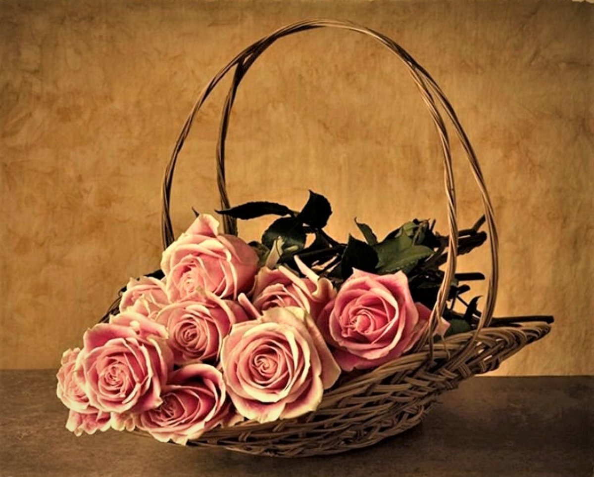 Оригинальные открытки с днем рождения