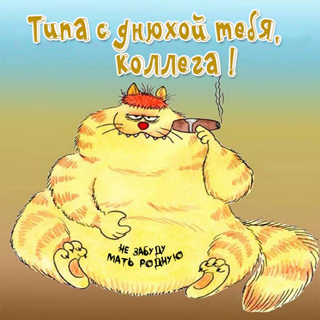 С днем рождения прикольные