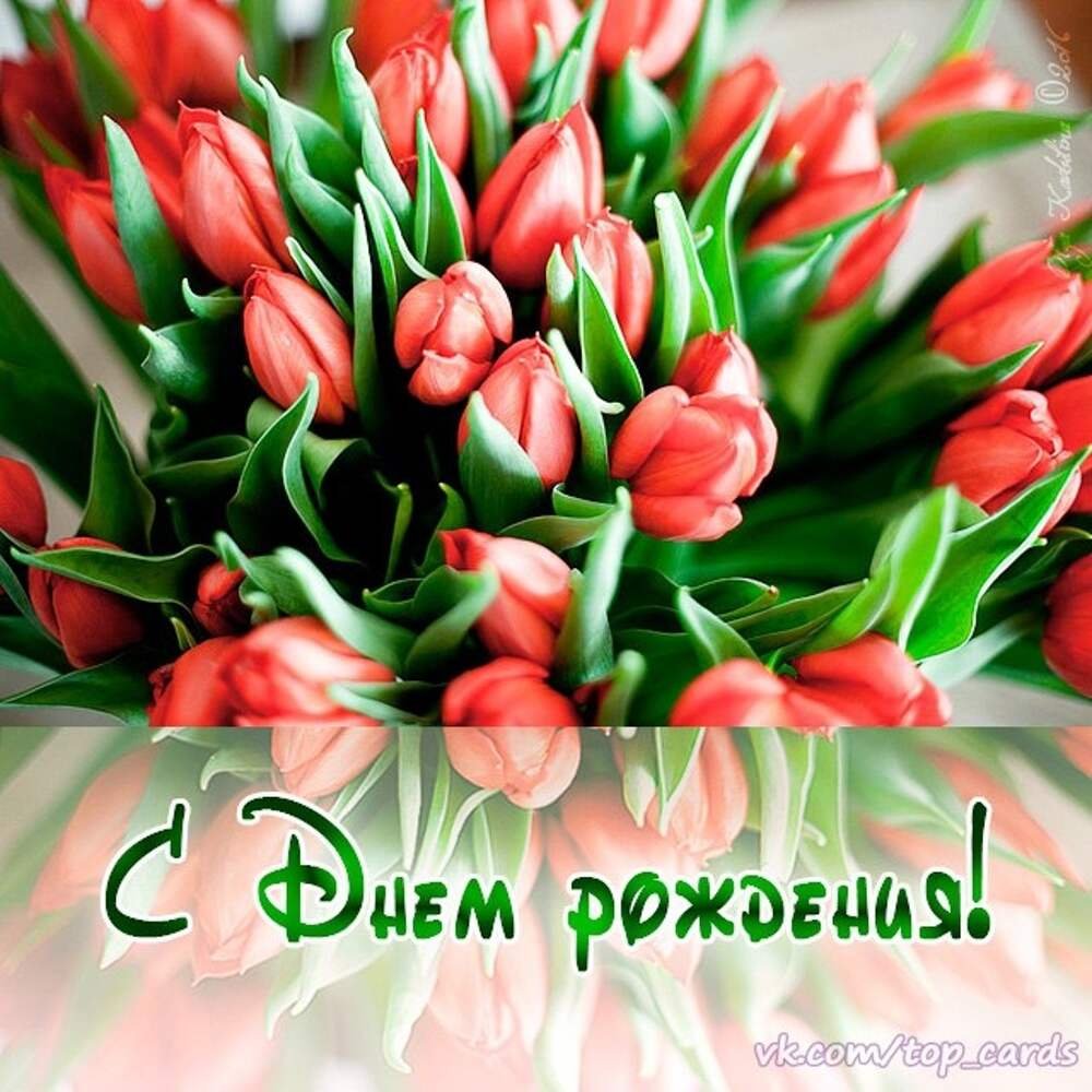 Тюльпаны на аву