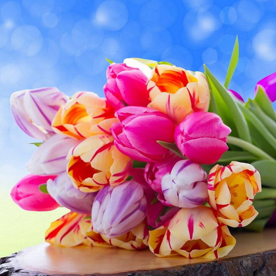 Букет тюльпанов