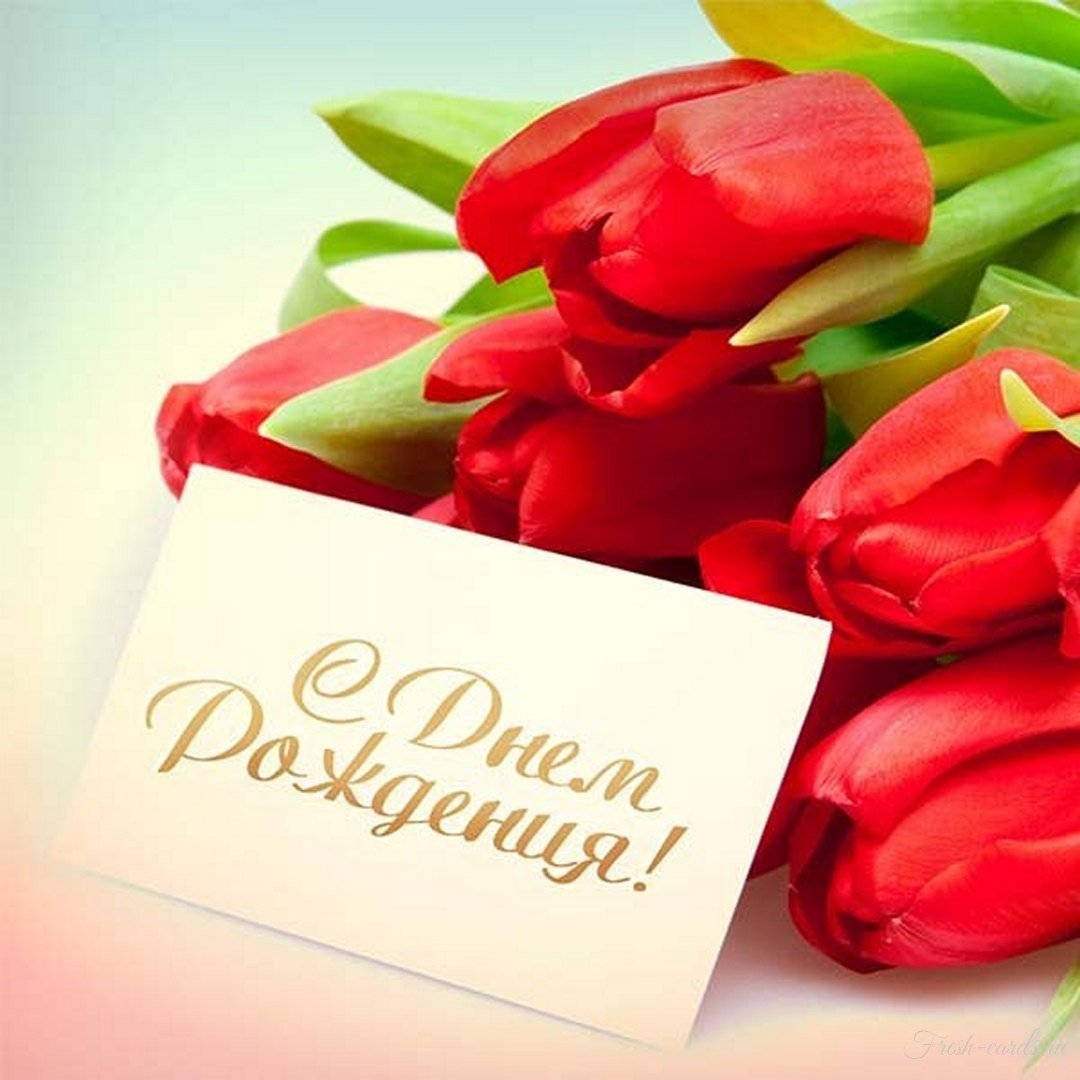Открытки с днём рождения тюльпаны