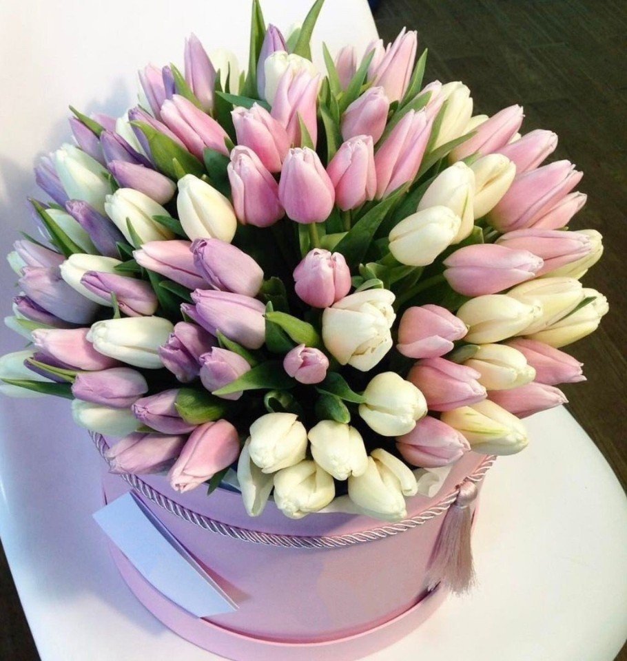 С днем рождения тюлпан