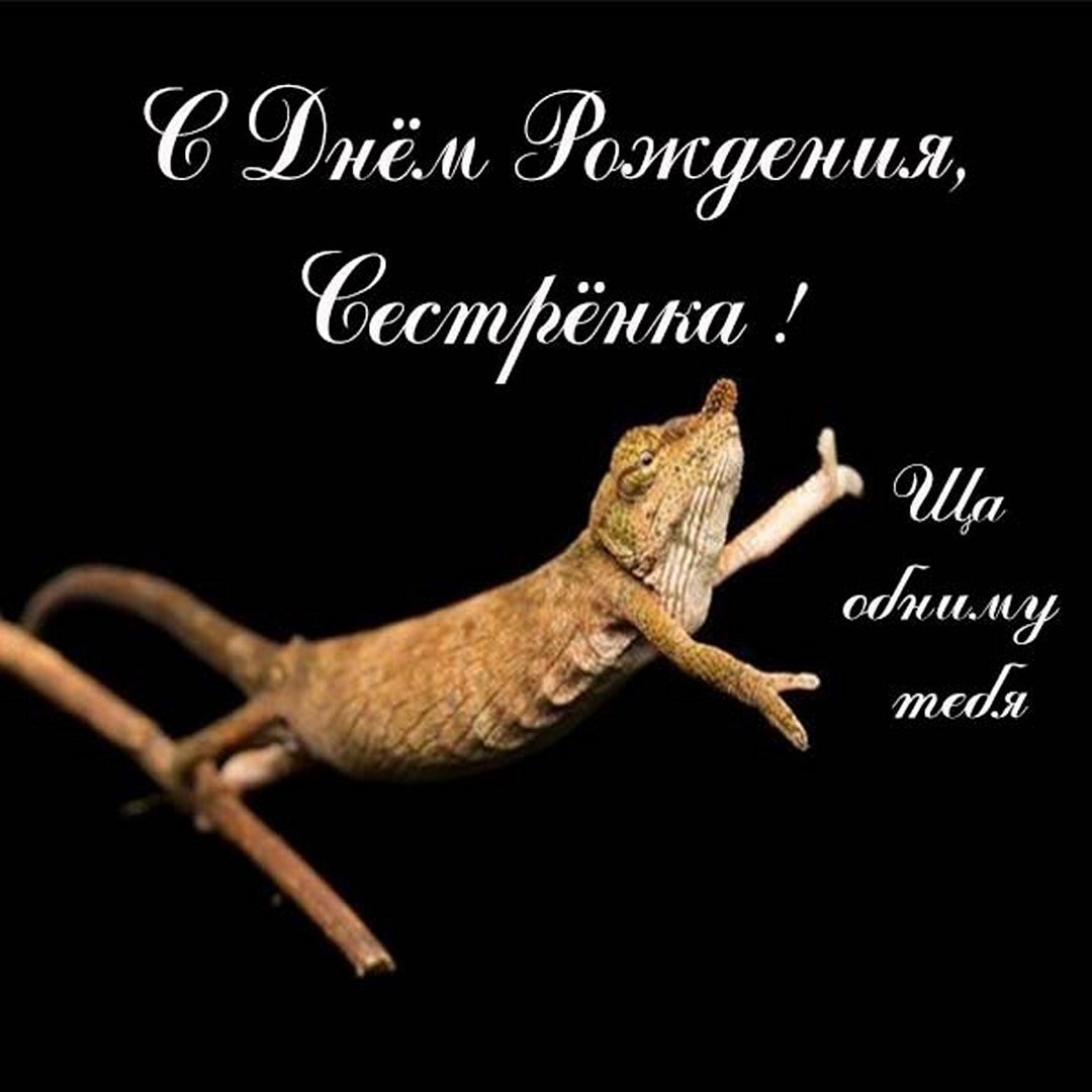 Поздравления с днём рождения подруге