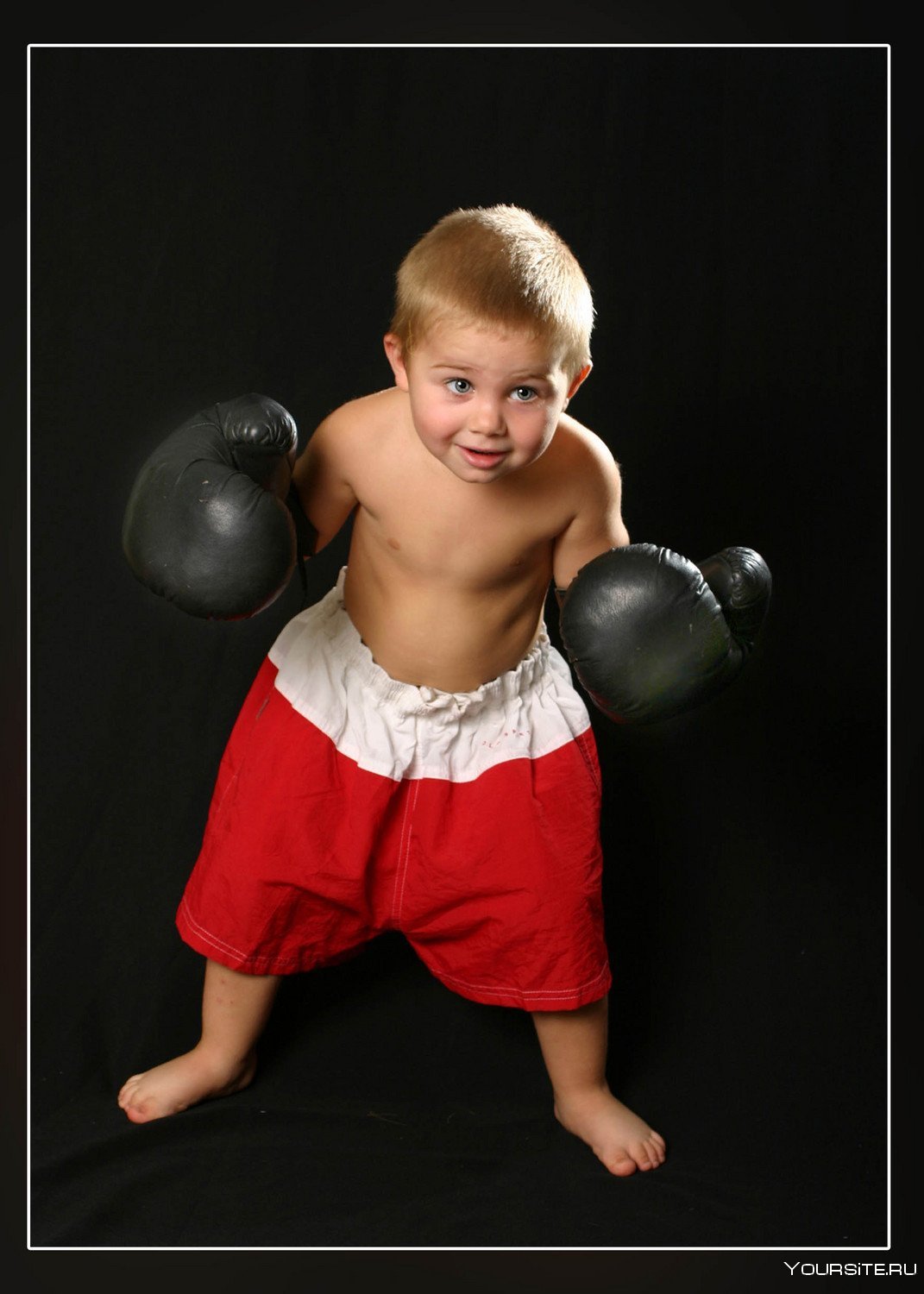 День боксера