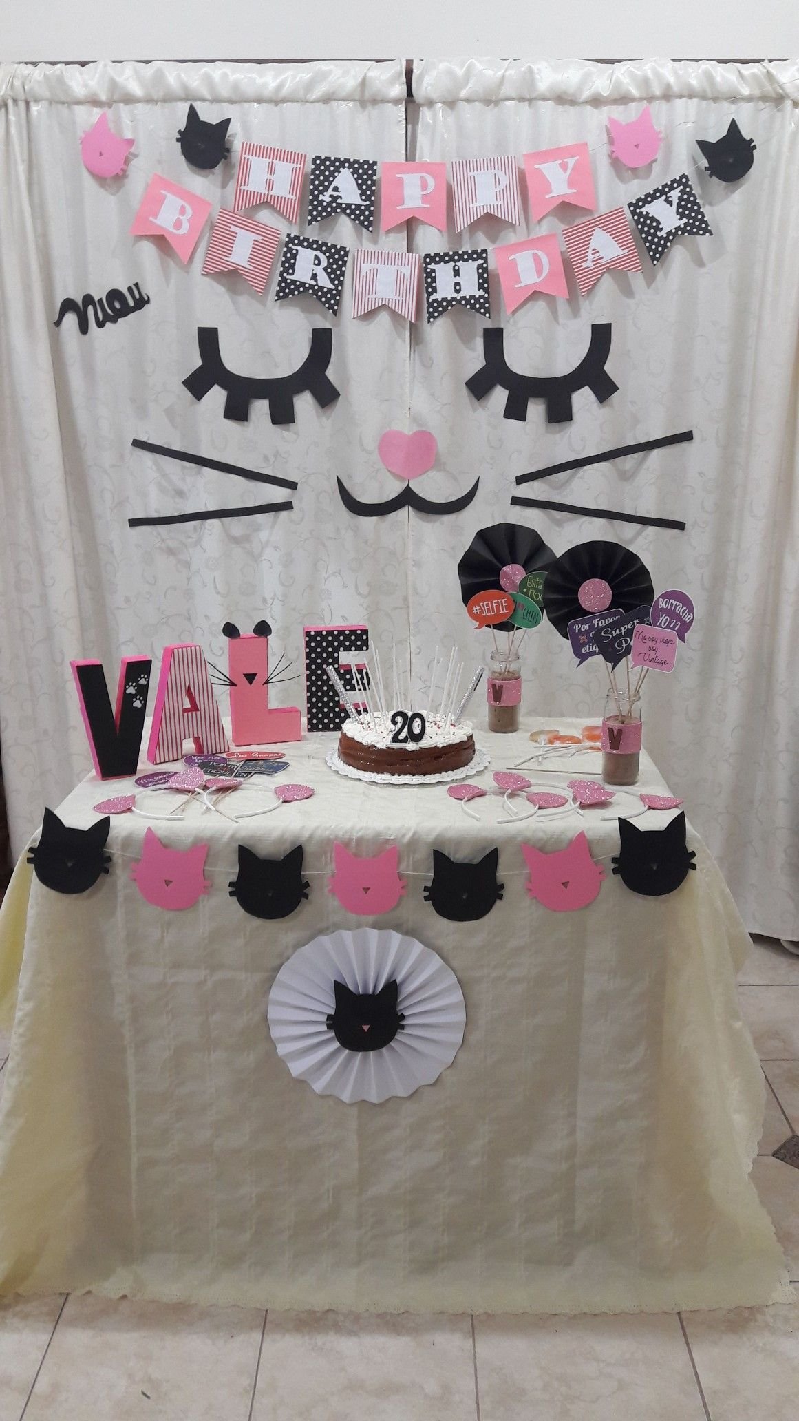 Кошачья вечеринка