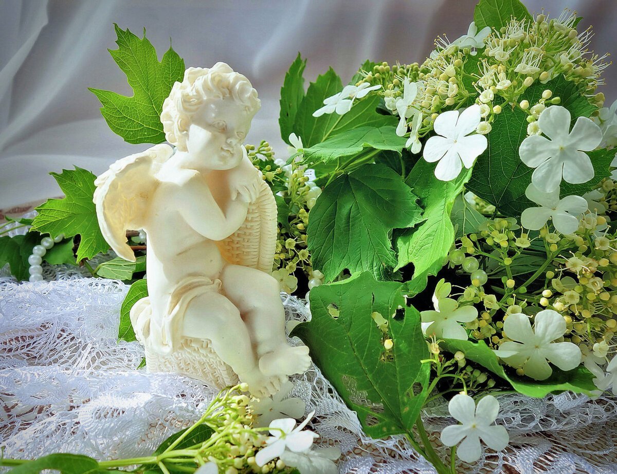 Рамка с днем рождения