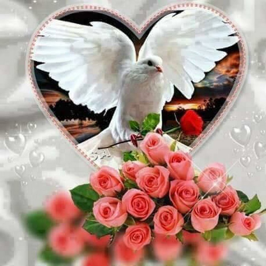 Светлая память