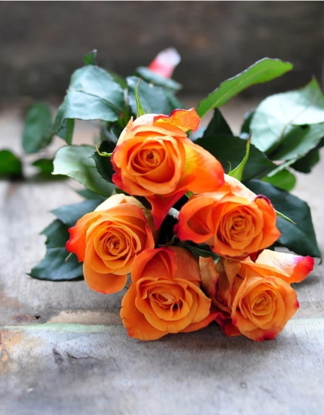 Доброе утро здоровья и счастья