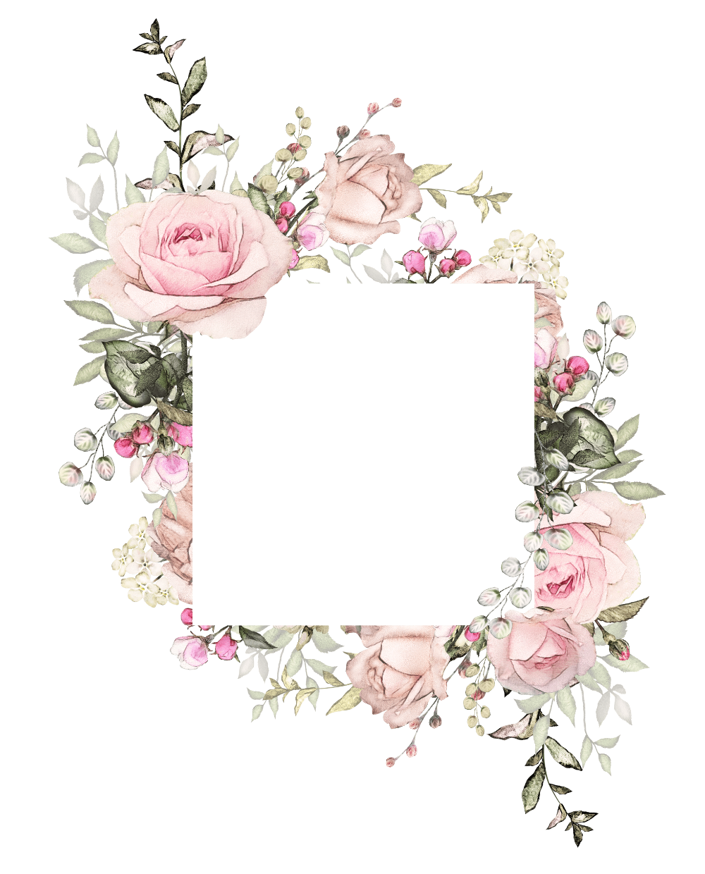 Роза вид сверху