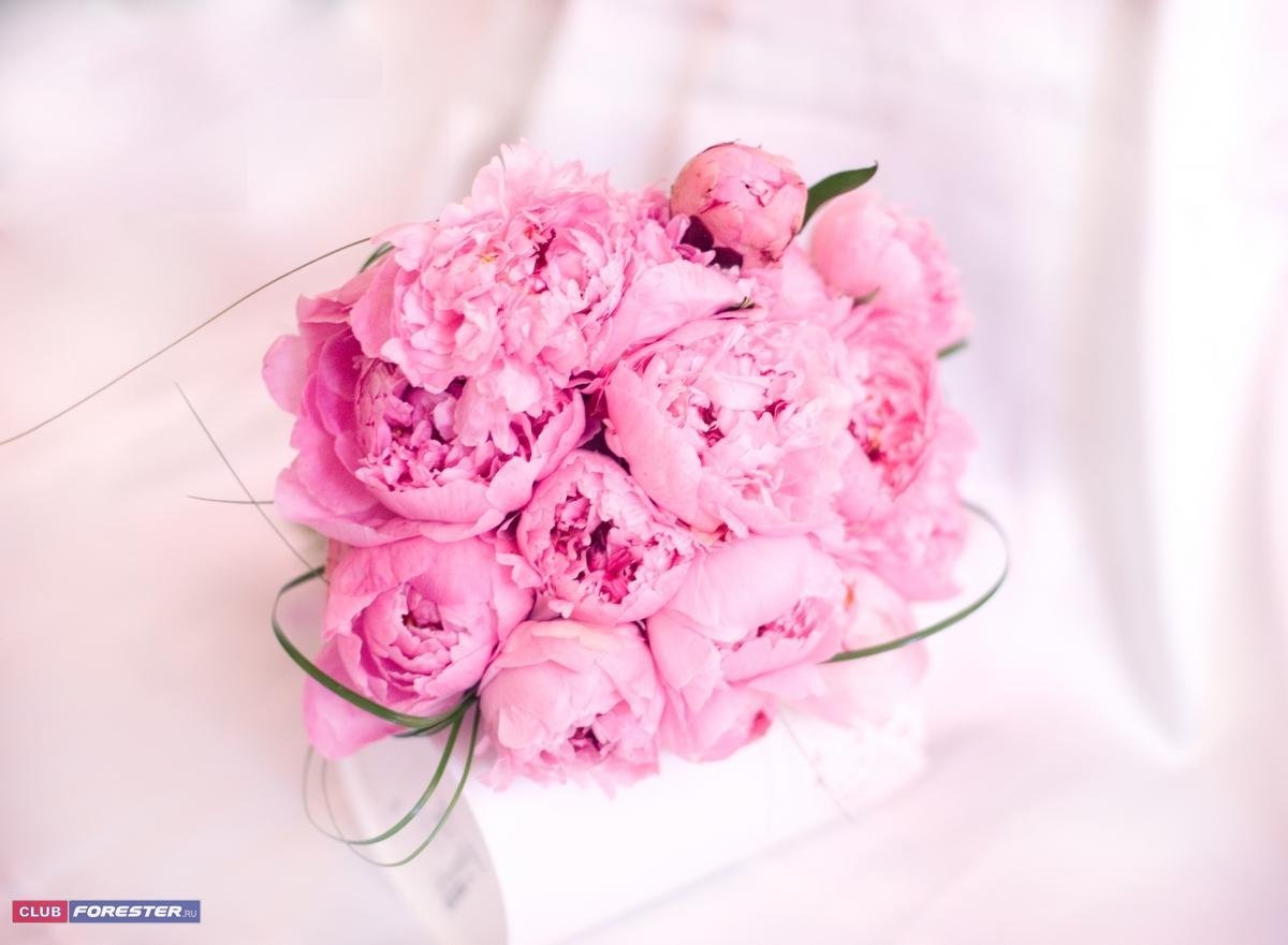 С днём рождения женщине пионы