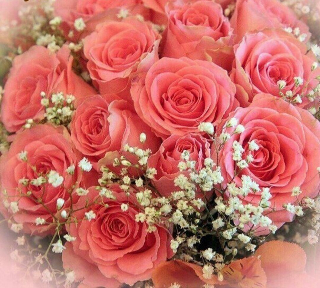 Букет роз для Марины