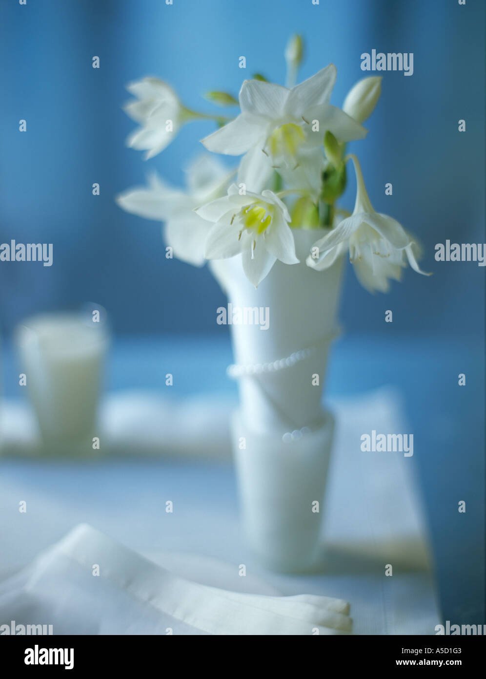 Нежное поздравление с днем рождения